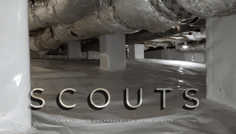 Crawlspace encapsulation in Greenville, SC from Scout's Pest Control