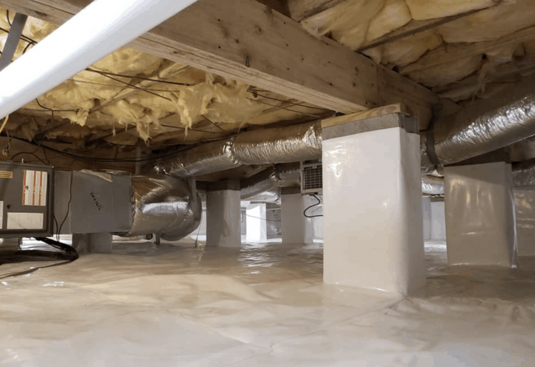 Tips to reduce moisture in your crawlspace from Scout's Pest Control in Greenville, SC