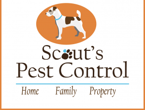 scouts pest control