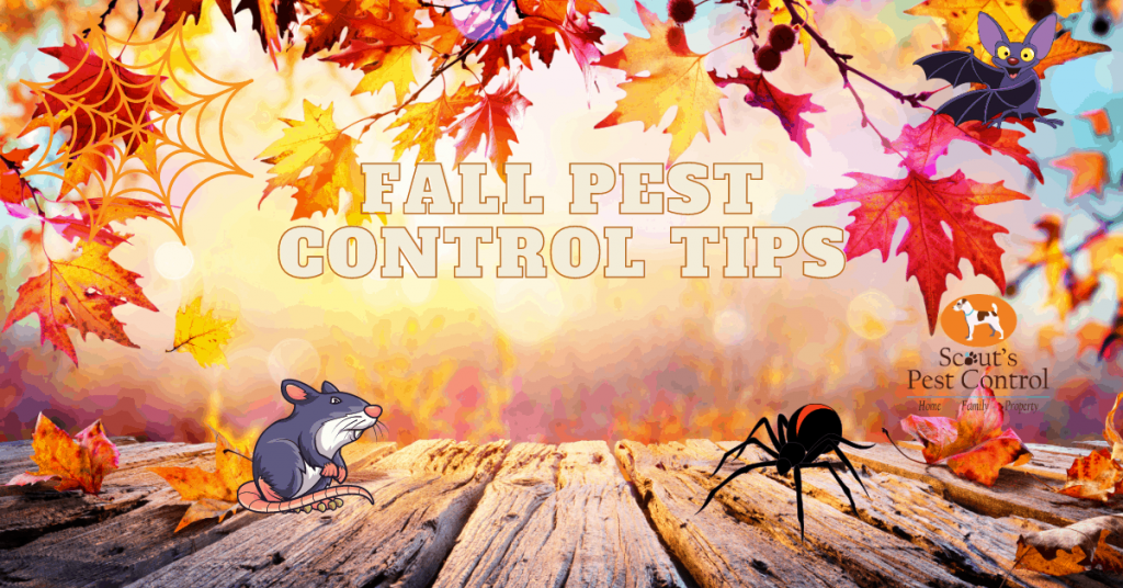 Fall Pest Control: The Vital Winter Prevention Tips You Need To Read!