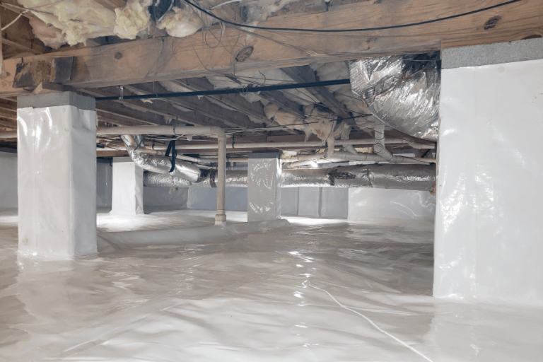 crawl space encapsulation in travelers rest -