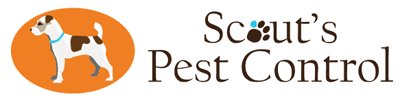 scouts pest control greenville sc