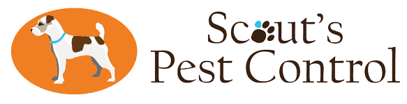 scouts pest control greenville sc