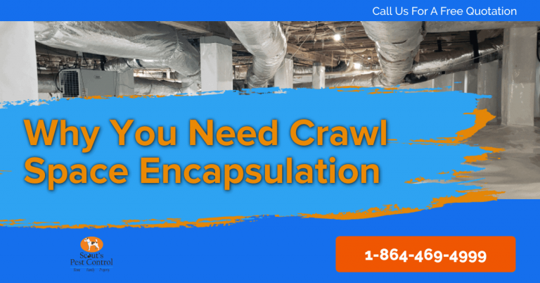 Why You Need Crawl Space Encapsulation To Protect Your Home?