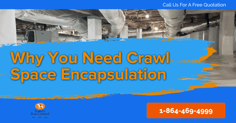 crawl space encapsulation - crawl space vapor barrier