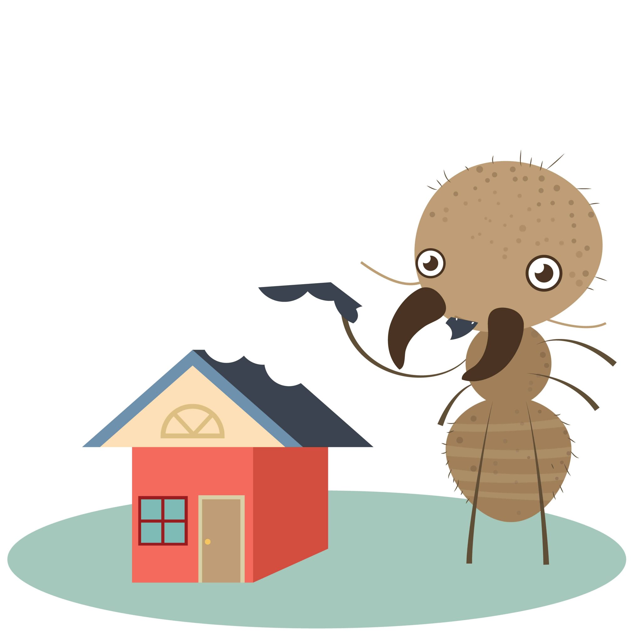 Scouts Pest Control Greenville SC, Pest and Termite Control