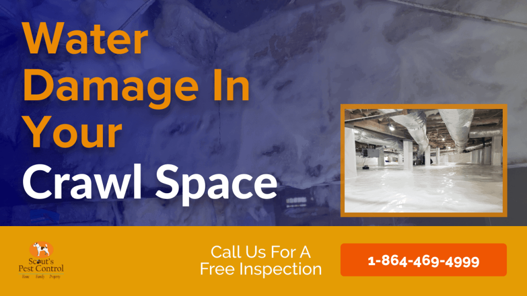 how water damages your crawl space