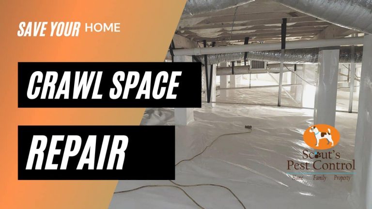 crawl space repair greenville sc