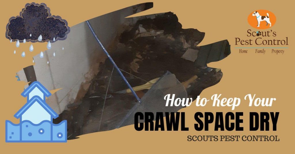 how to keep your crawl space dry