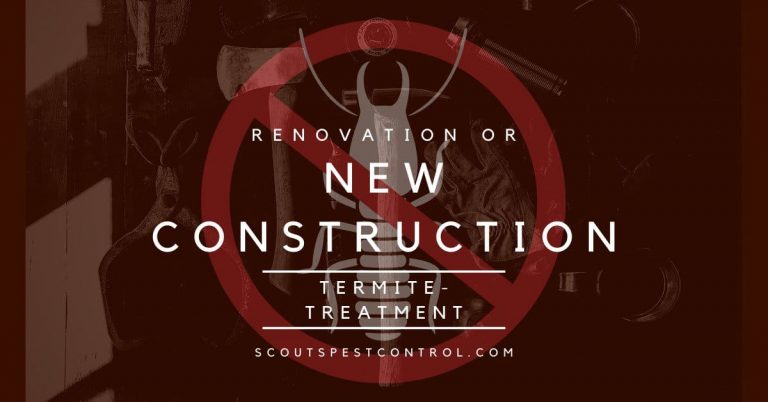 new construction termite treatment