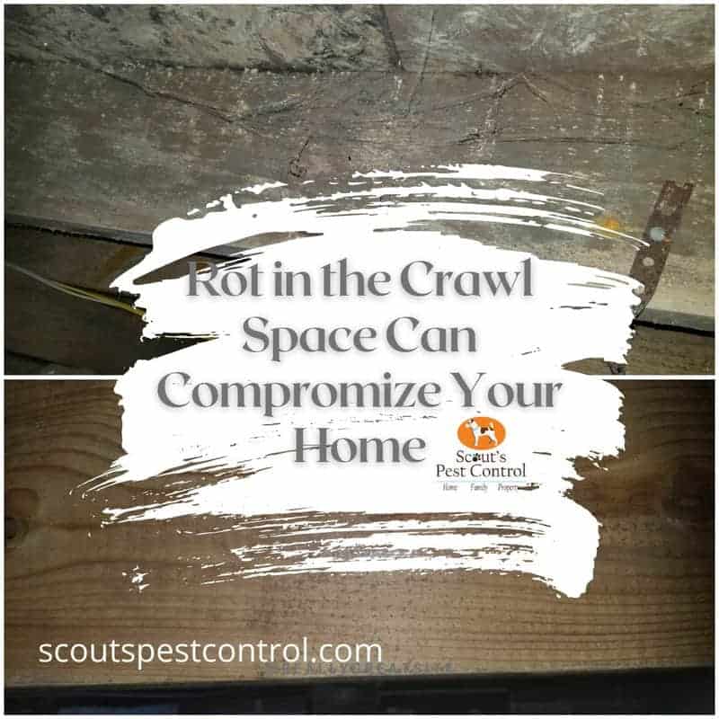 how to keep your crawl space dry