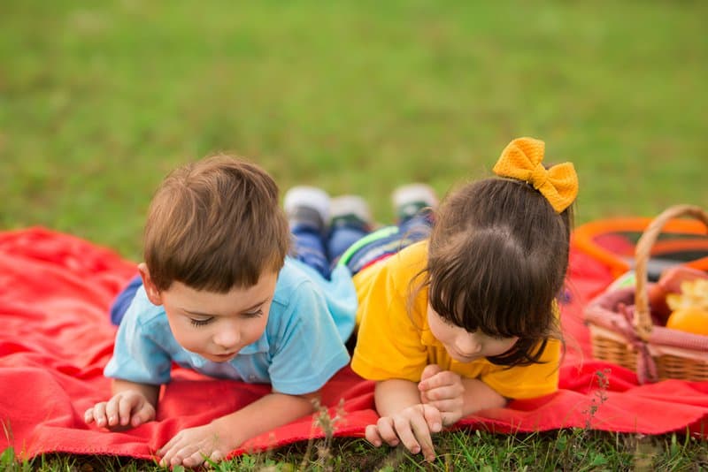 two children on a picnic. a boy in a blue t-shirt and a girl in yellow lie on a red plaid and examine fire ants and insects in the grass.