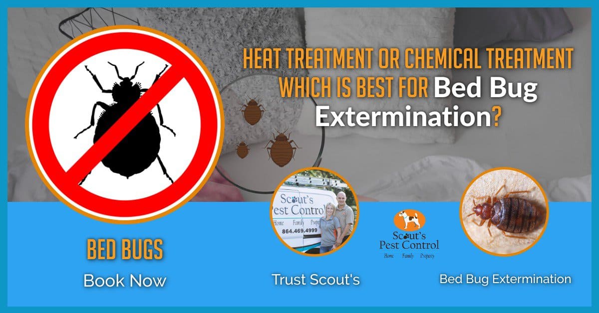 La King Bed Bugs Extermination Los Angeles