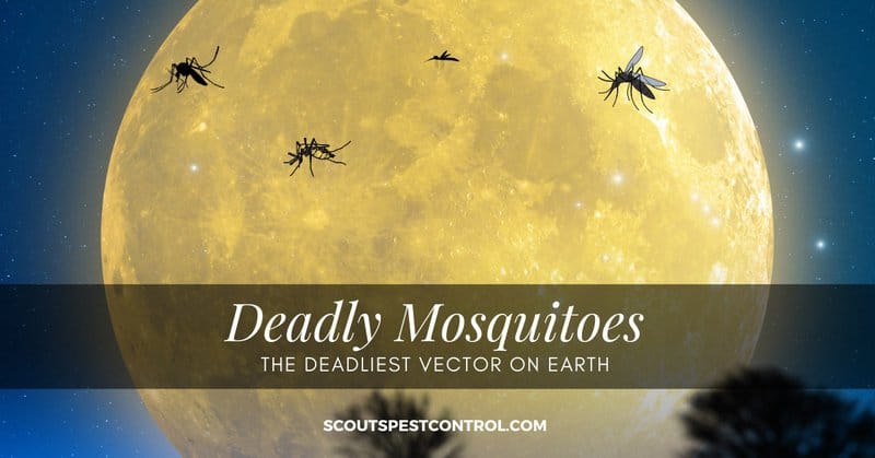 deadliest mosquitoes