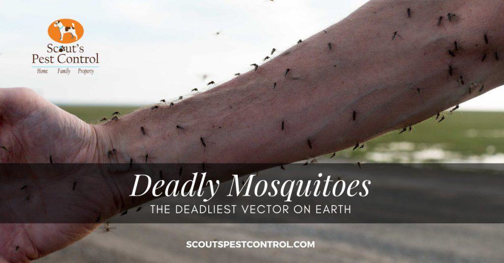 deadly mosquitoes