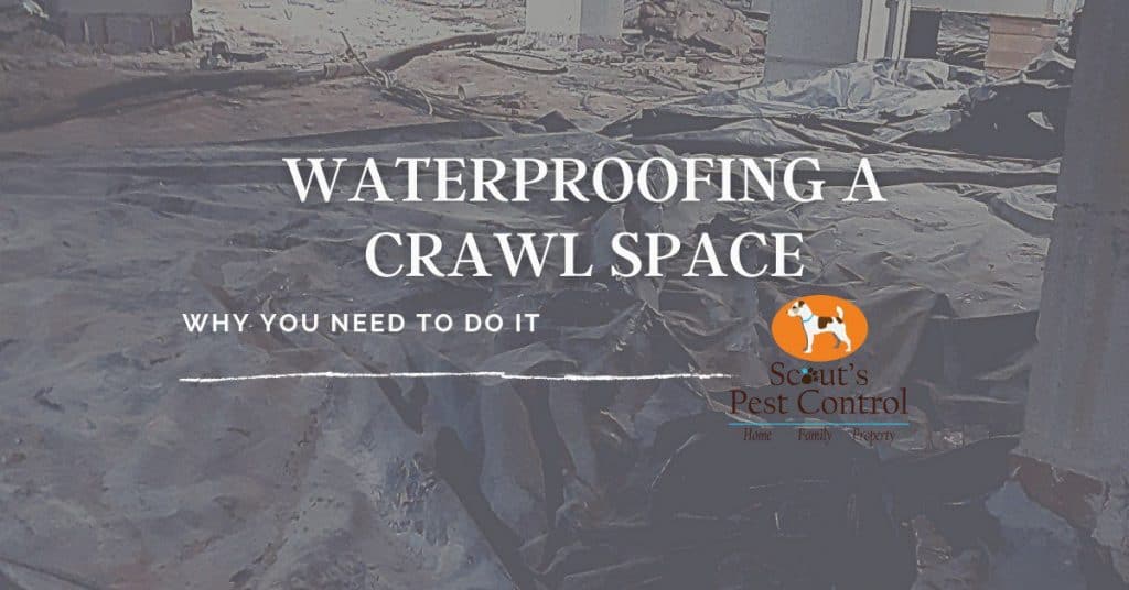 waterproofing a crawl space