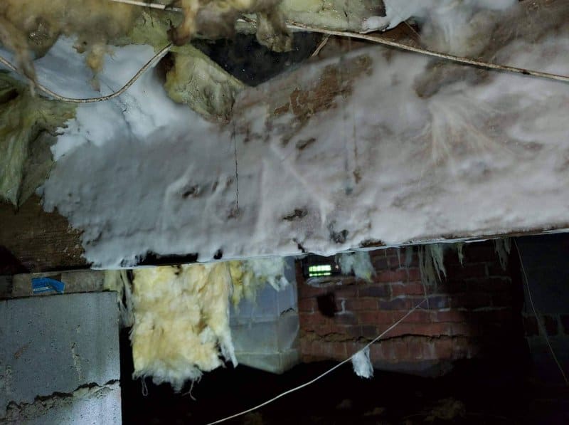 waterproofing a crawl space to prevent wood rot