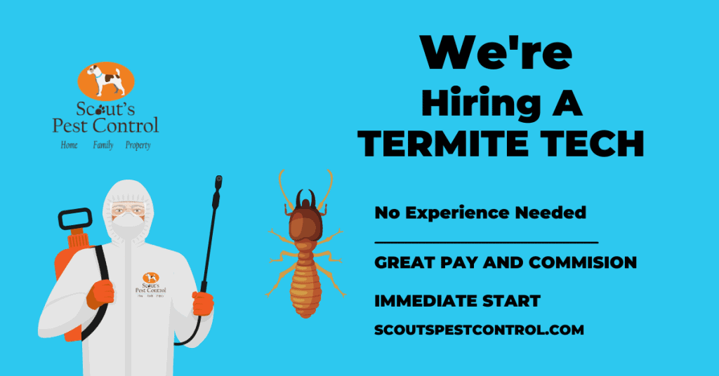 hiring in greenville - termite technician