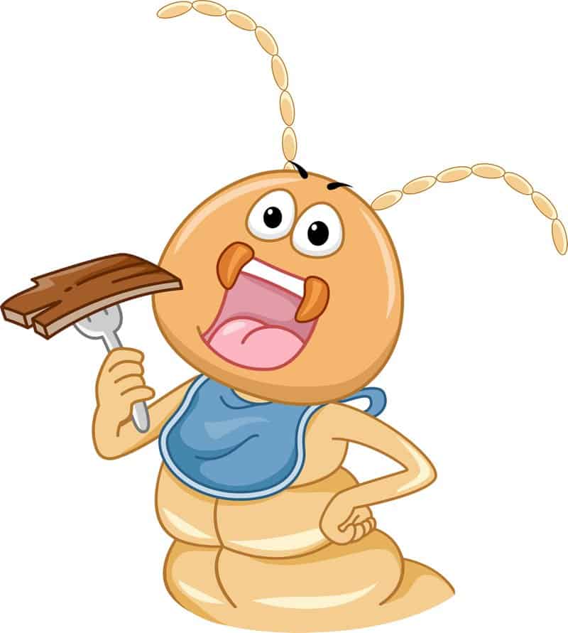 illustration of a termite eating wood