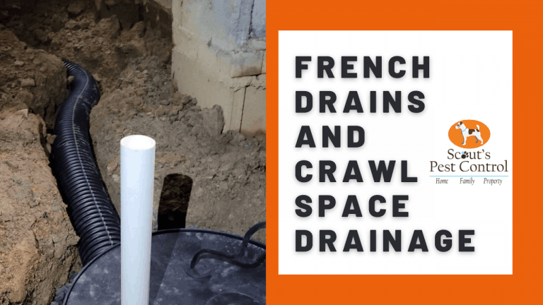 french drain