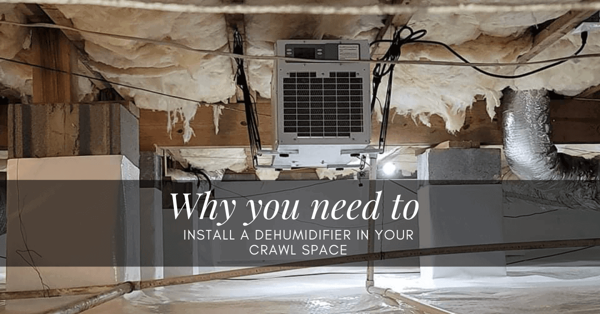 install a dehumidifier in your crawl space