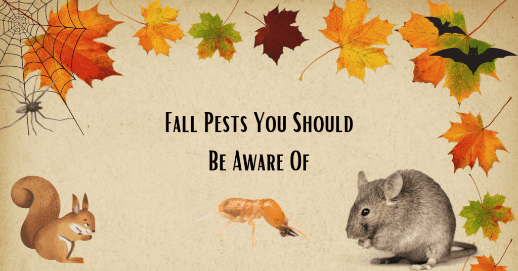 fall pests
