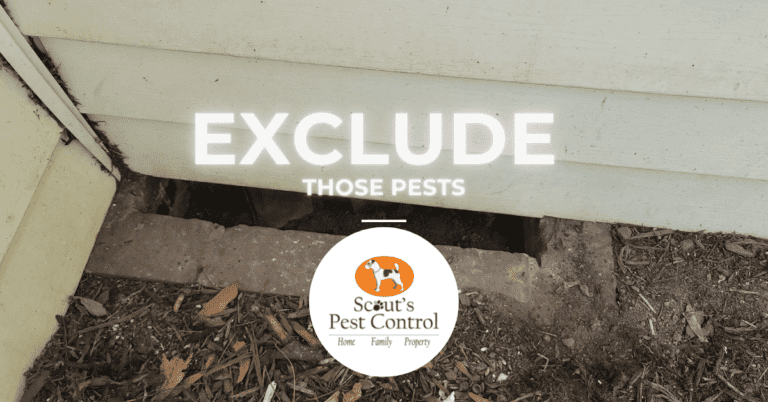 exclude pests