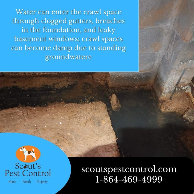 the cost of not encapsulating your crawl space