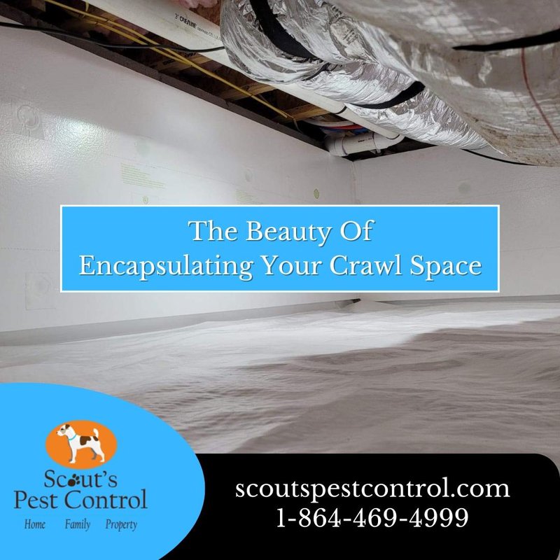 the cost of not encapsulating your crawl space
