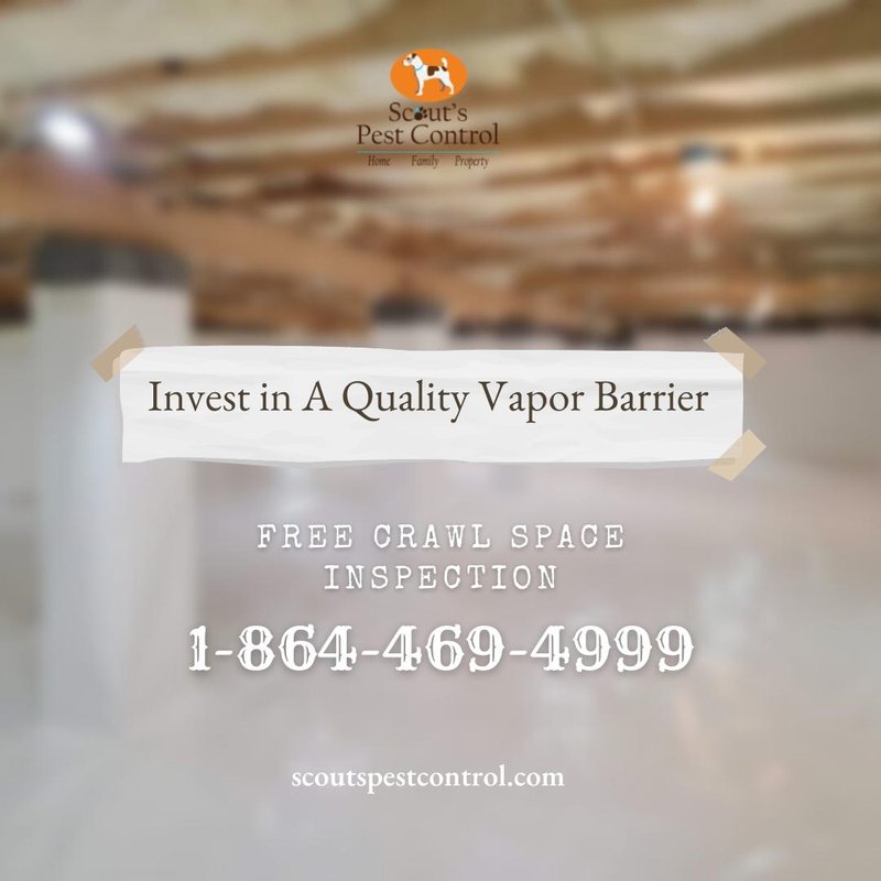 why you should not install a thin vapor barrier in your crawl space