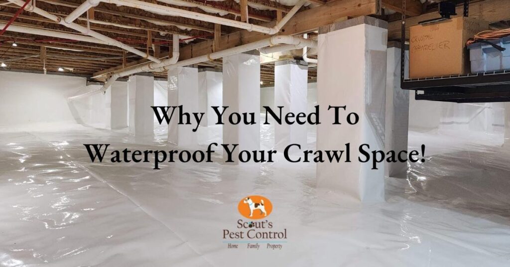 crawl space waterproofing