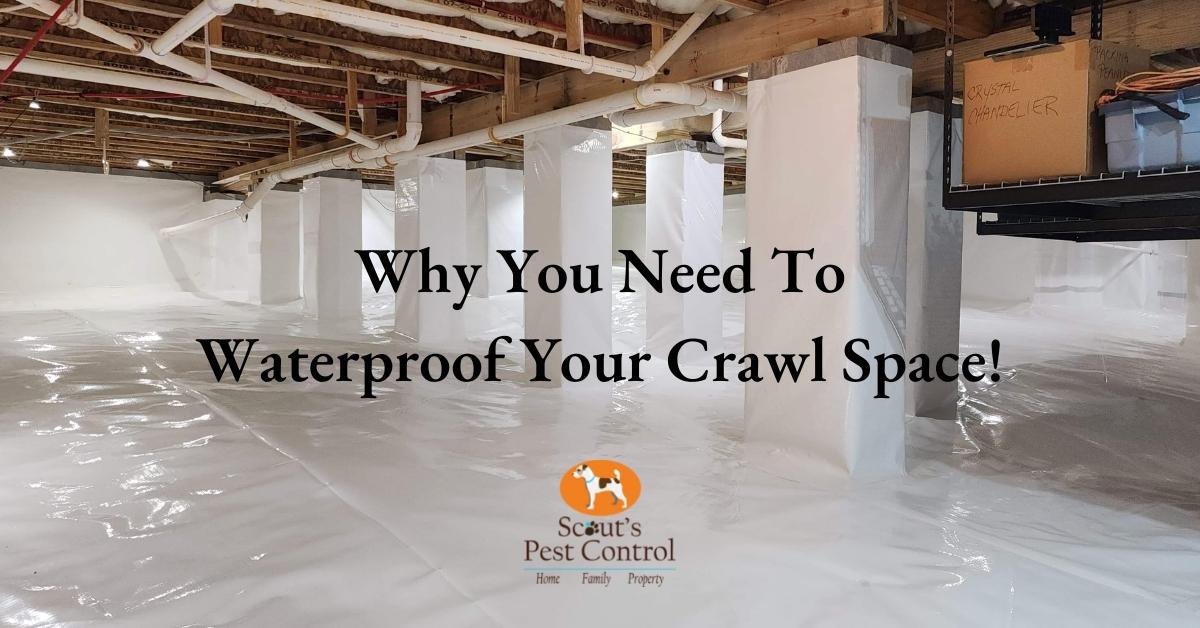 Crawl Space Waterproofing and Why You Need It
