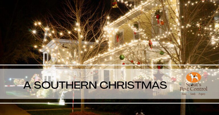 A SOUTHERN CHRISTMAS cover