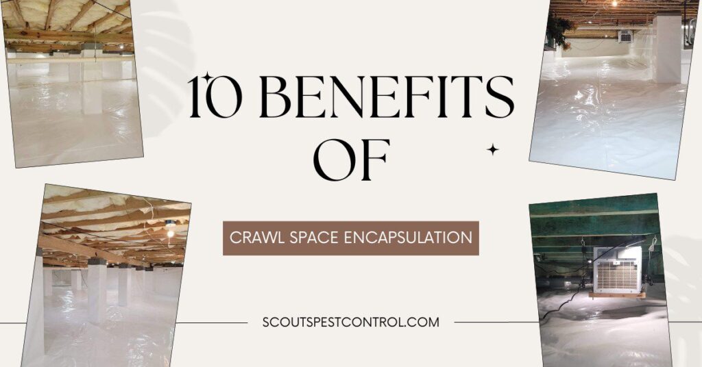 10 Major Benefits of Crawl Space Encapsulation cover