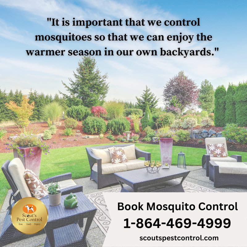 backyard mosquito control