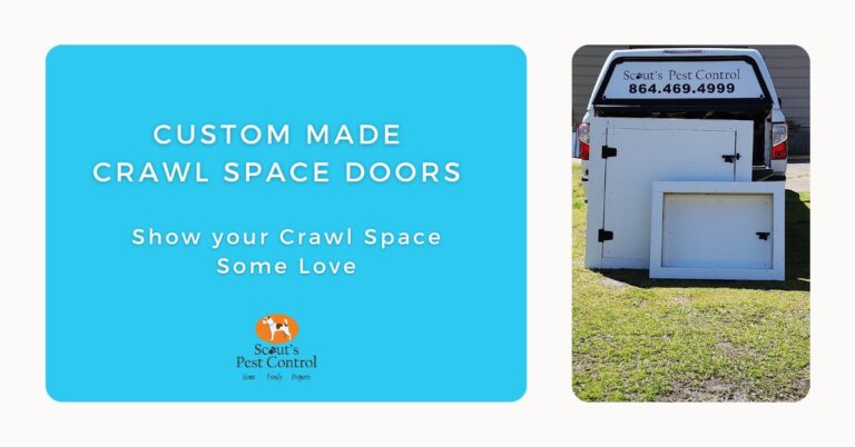 custom made crawl space doors