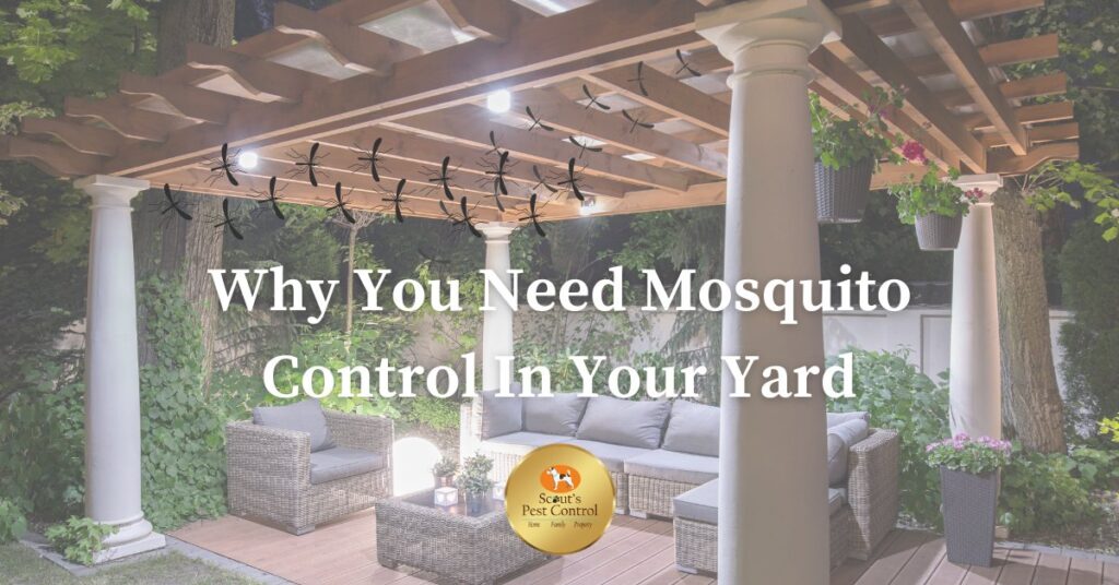 why you need backyard mosquito control? cover