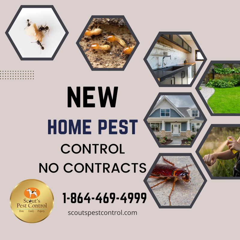 new home pest control