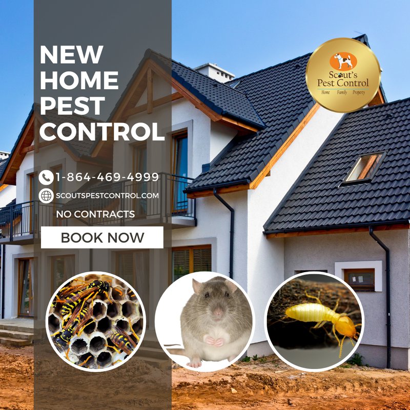 new home pest control start now
