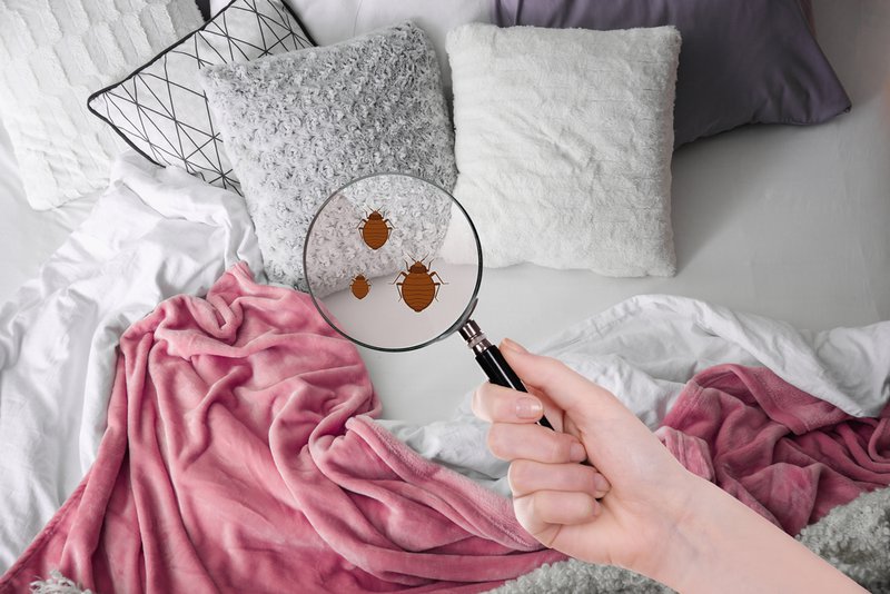 woman with magnifying glass detecting bed bugs in bedroom 