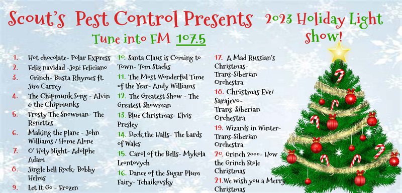 come and witness the extraordinary scouts pest control christmas lights show! - scouts news