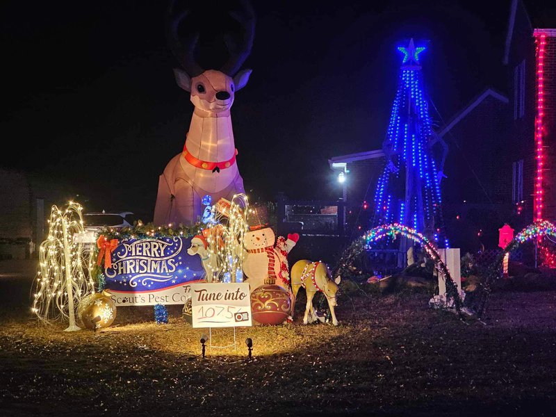 scouts pest control christmas lights