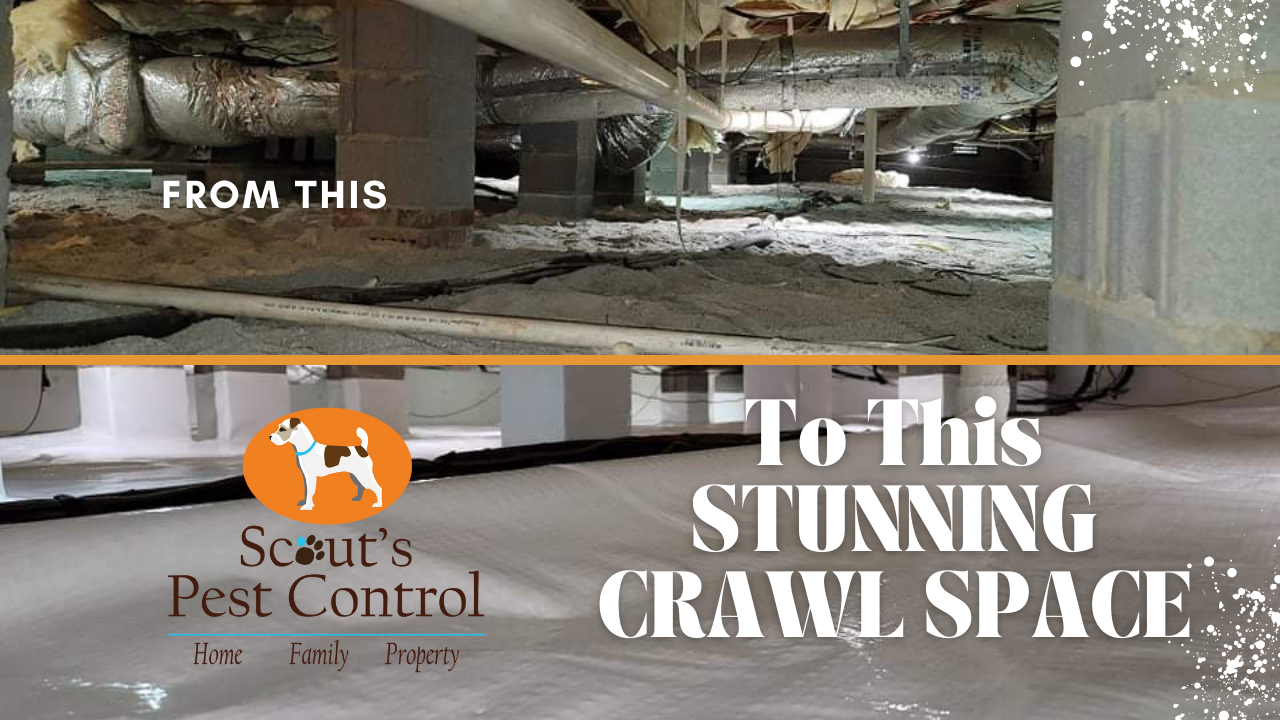 Crawl Space Encapsulation Greenville SC