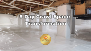 crawl space transformation video
