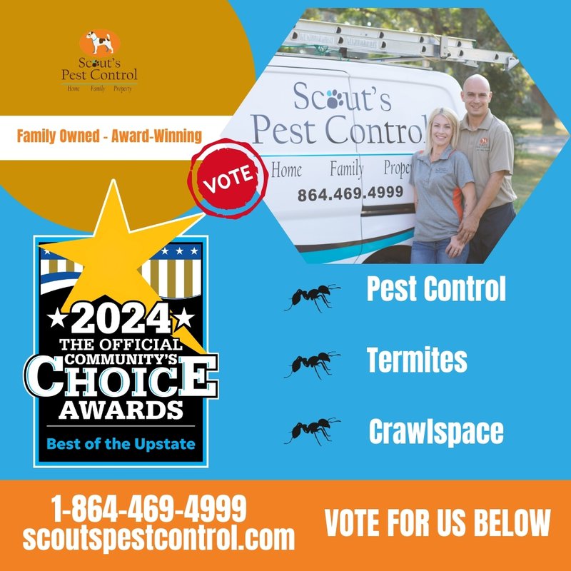 best of the upstate 2024: vote for us - pest control tips