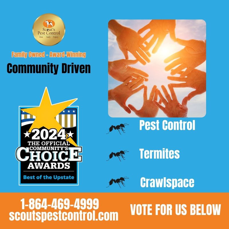 best of the upstate 2024: vote for us - pest control tips