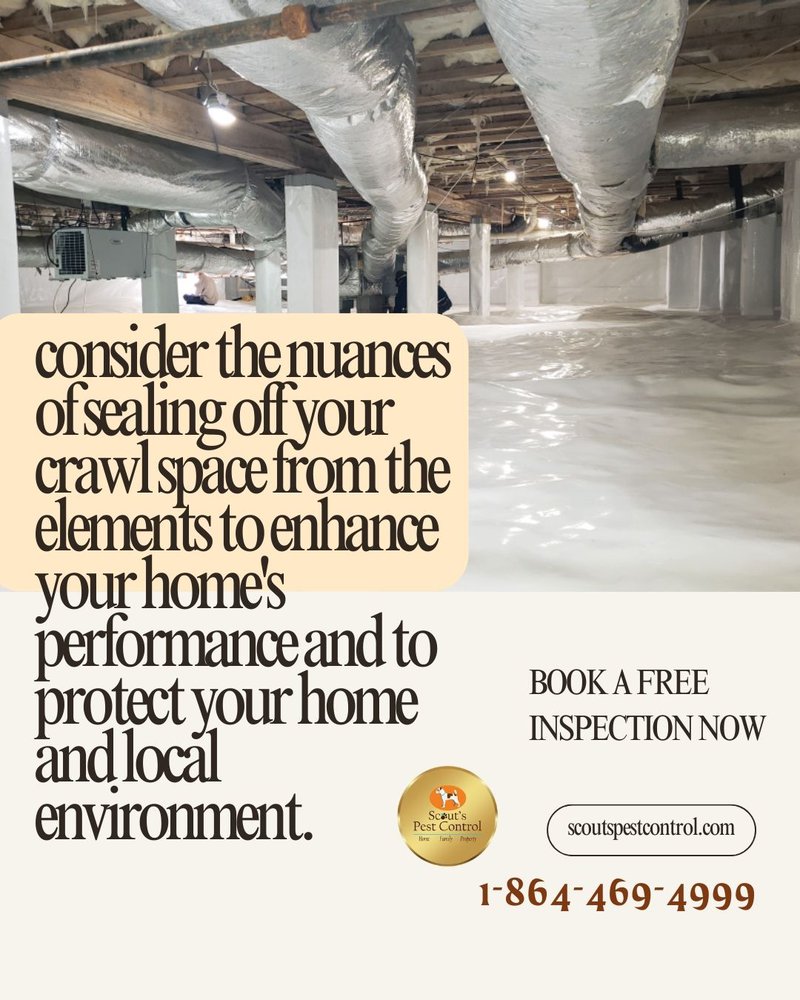 Evaluating the Pros and Cons Of Crawl Space Encapsulation 4 evaluating the pros and cons of crawl space encapsulation