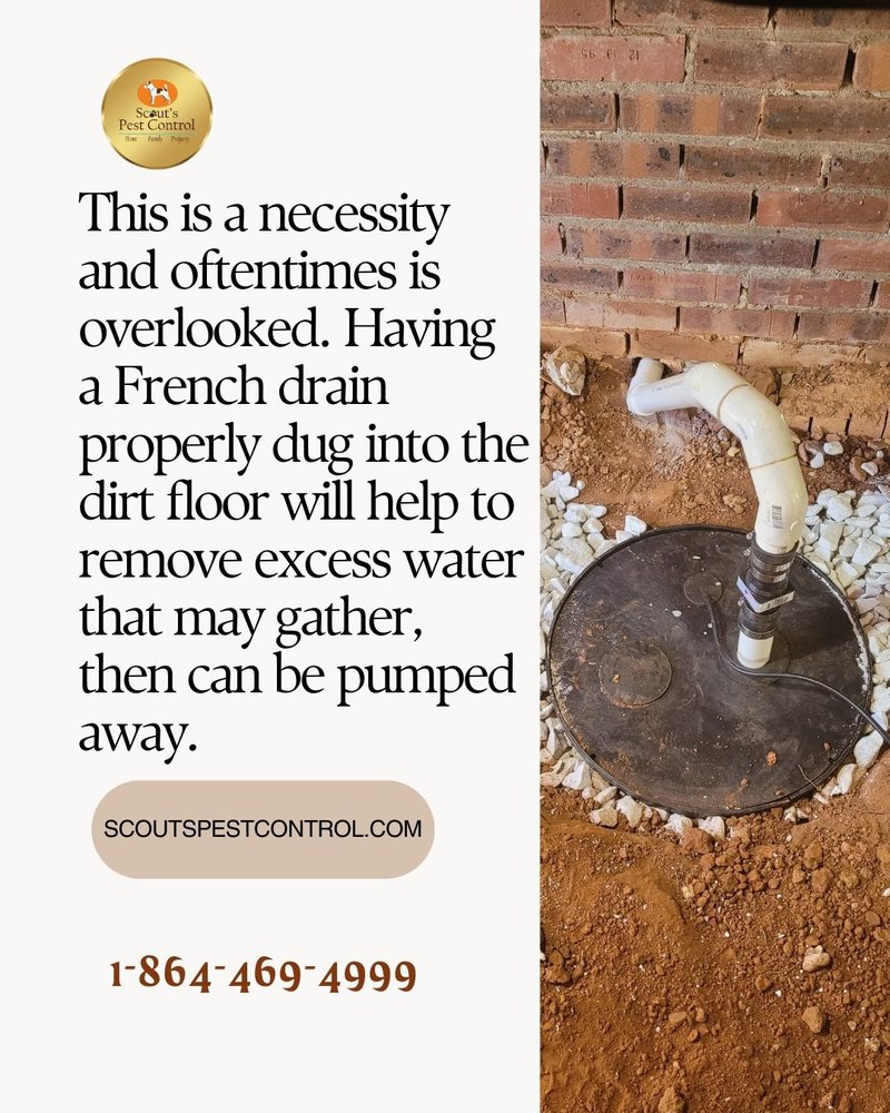 Evaluating the Pros and Cons Of Crawl Space Encapsulation 2 pros and cons of crawl space encapsulation