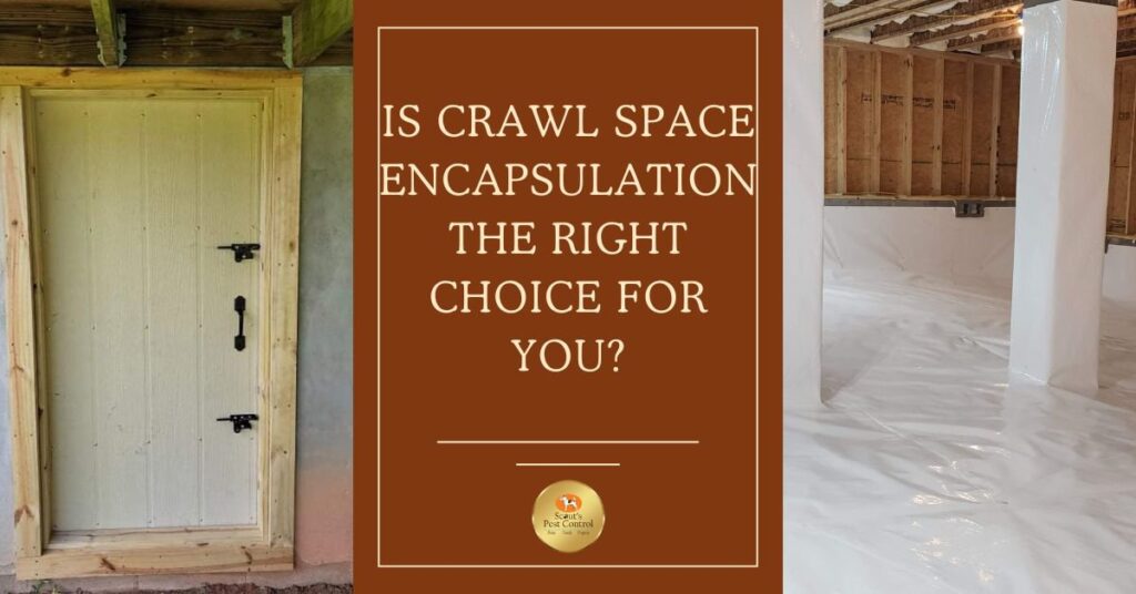 evaluating the pros and cons of crawl space encapsulation cover