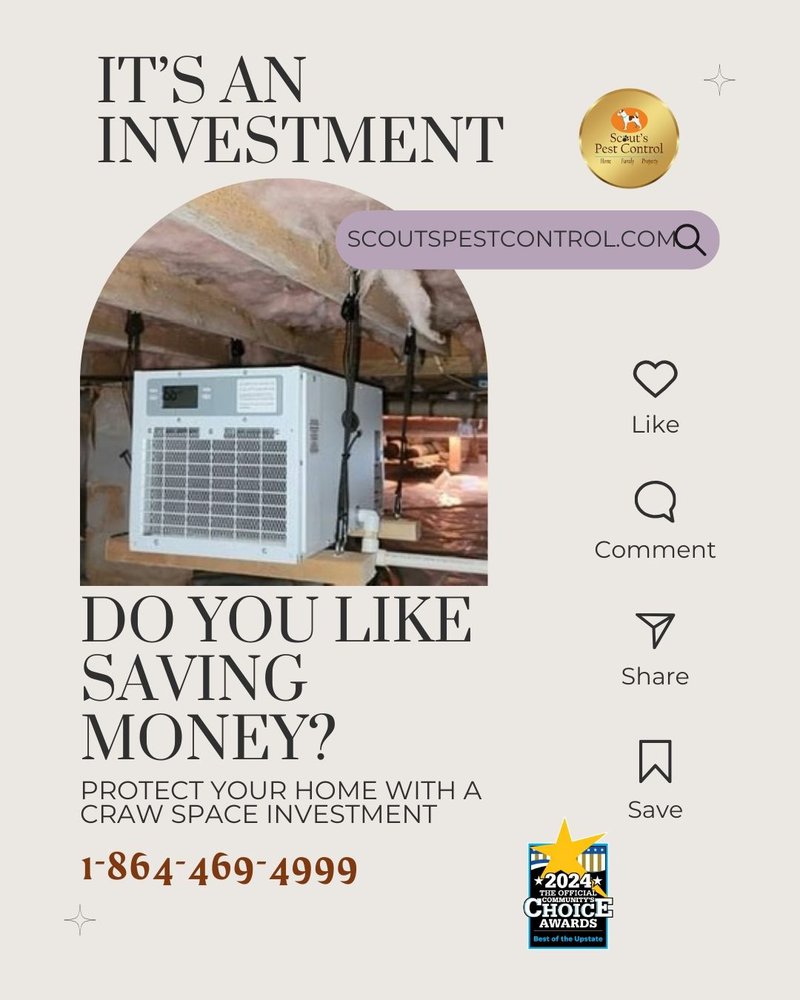 Evaluating the Pros and Cons Of Crawl Space Encapsulation 5 evaluating the pros and cons of crawl space encapsulation